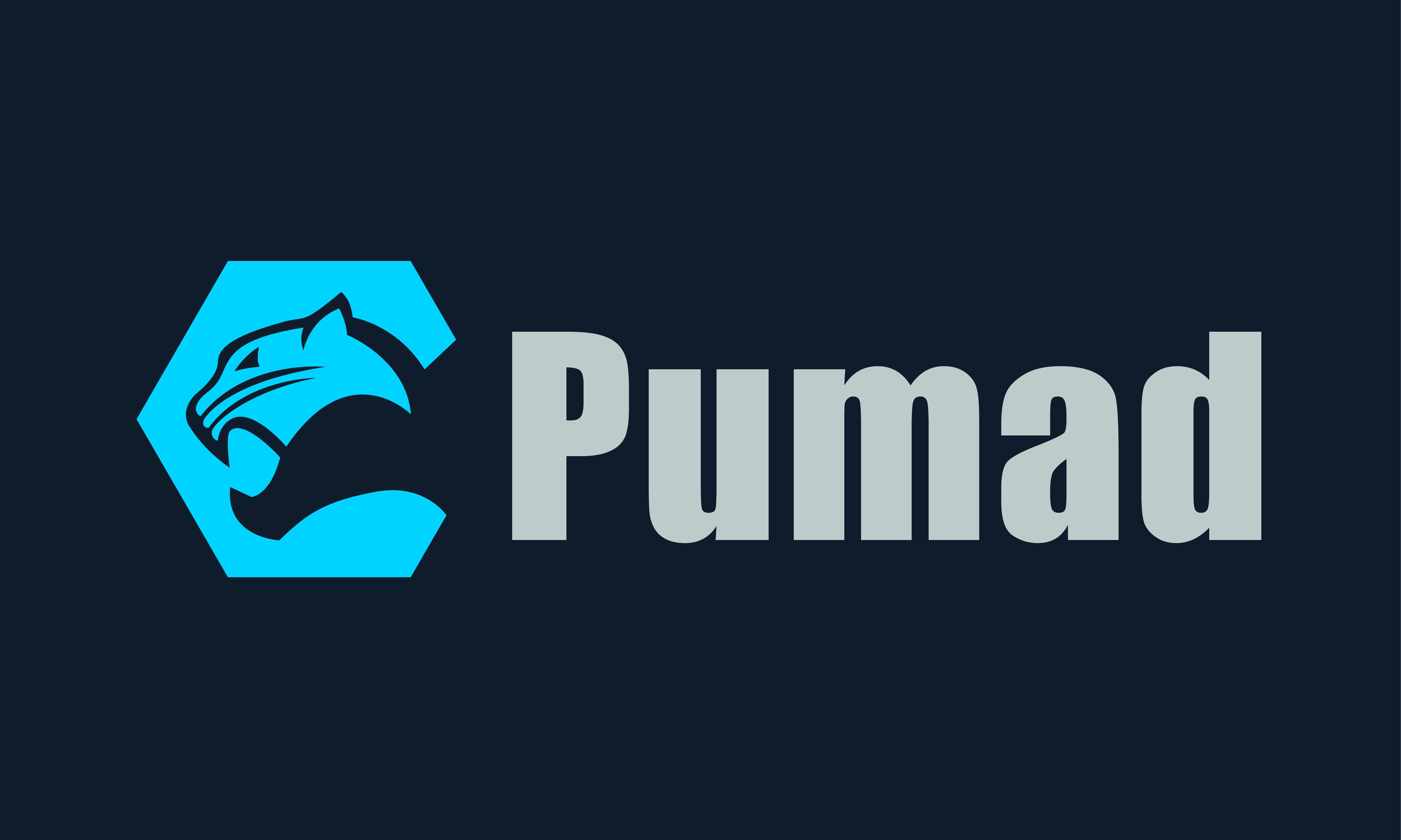 Pumad.com - Great premium domains for sale